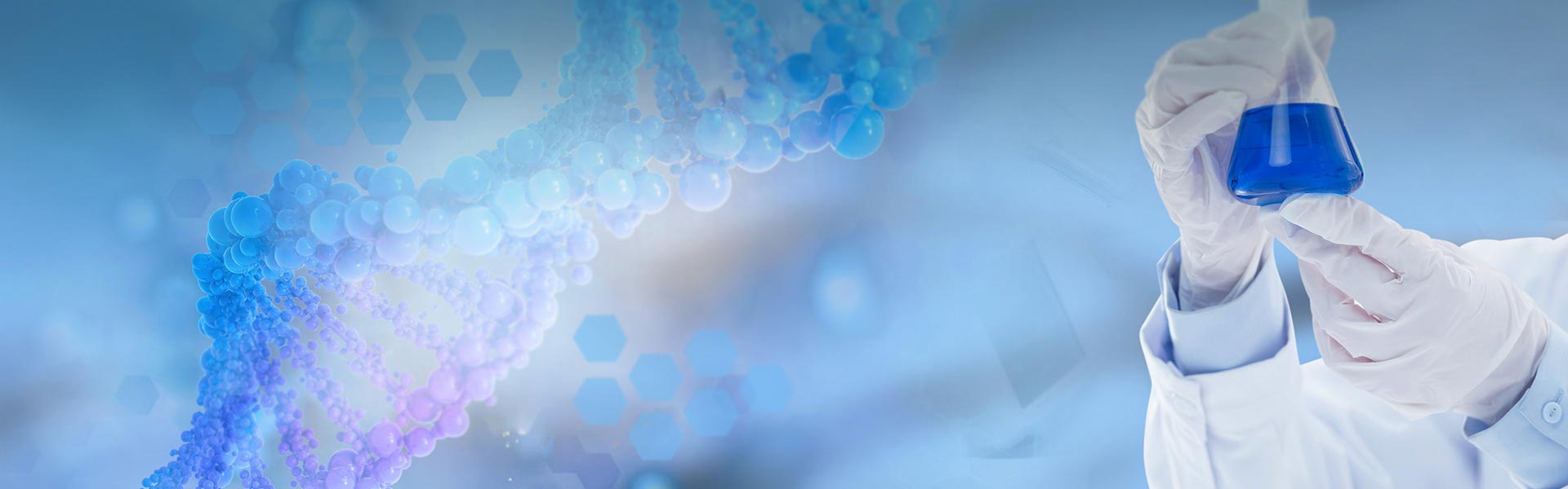 ထုတ်ကုန်များ